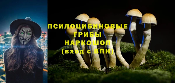 прущий лед Богородск