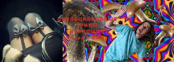 винт Армянск