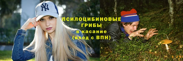 винт Армянск