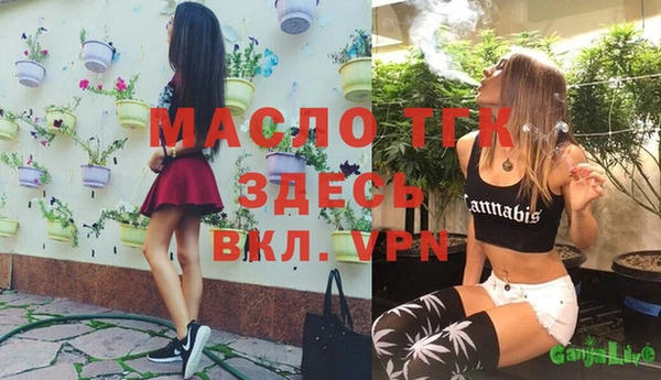 тгк Арсеньев