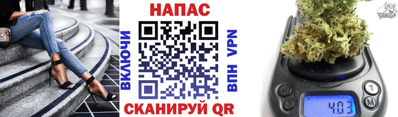 Каннабис план  как найти закладки  Юрьевец 